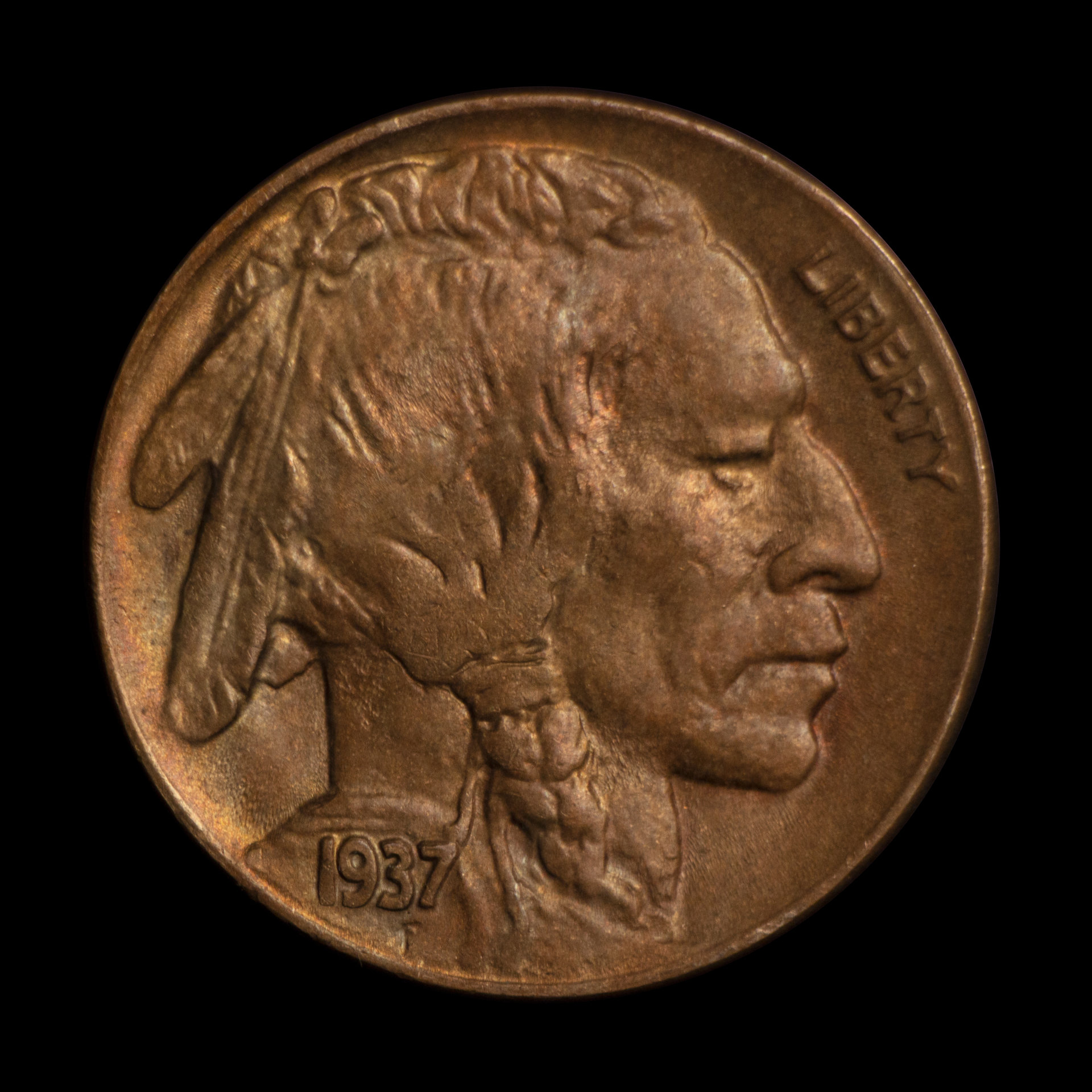 1937-D Buffalo Obv.jpg