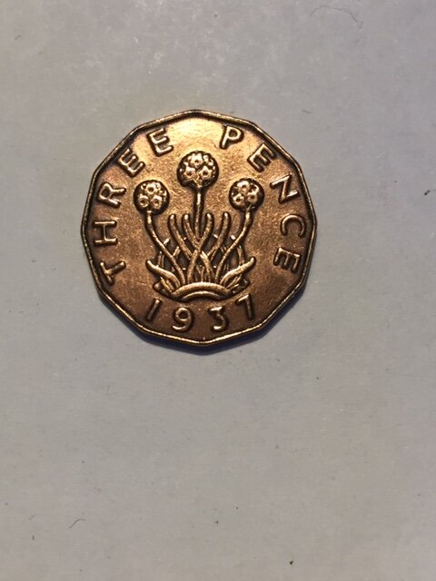 1937 gb threepence bit.JPG