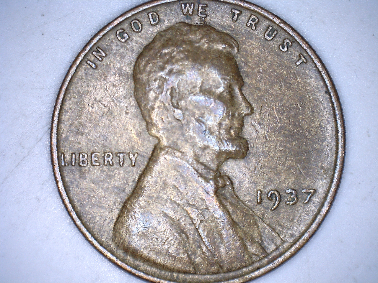 1937lam2.jpg