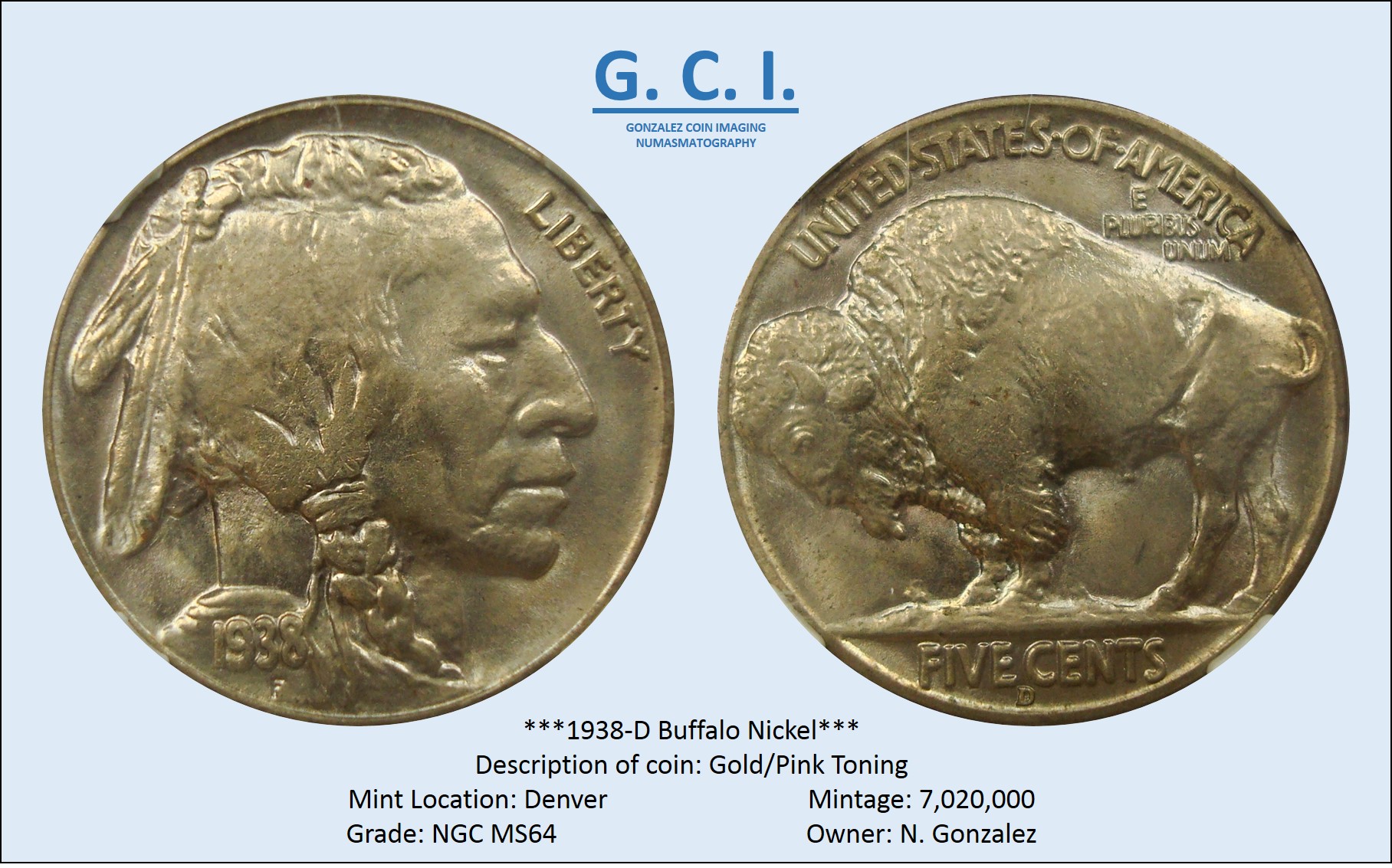 1938-D Buffalo GCI Image.jpg