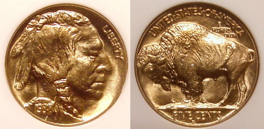 1938-D Buffalo Nickel All.jpg