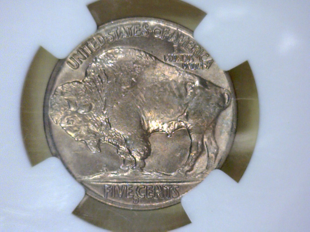 1938 D Buffalo Rev OMM 32617.jpg