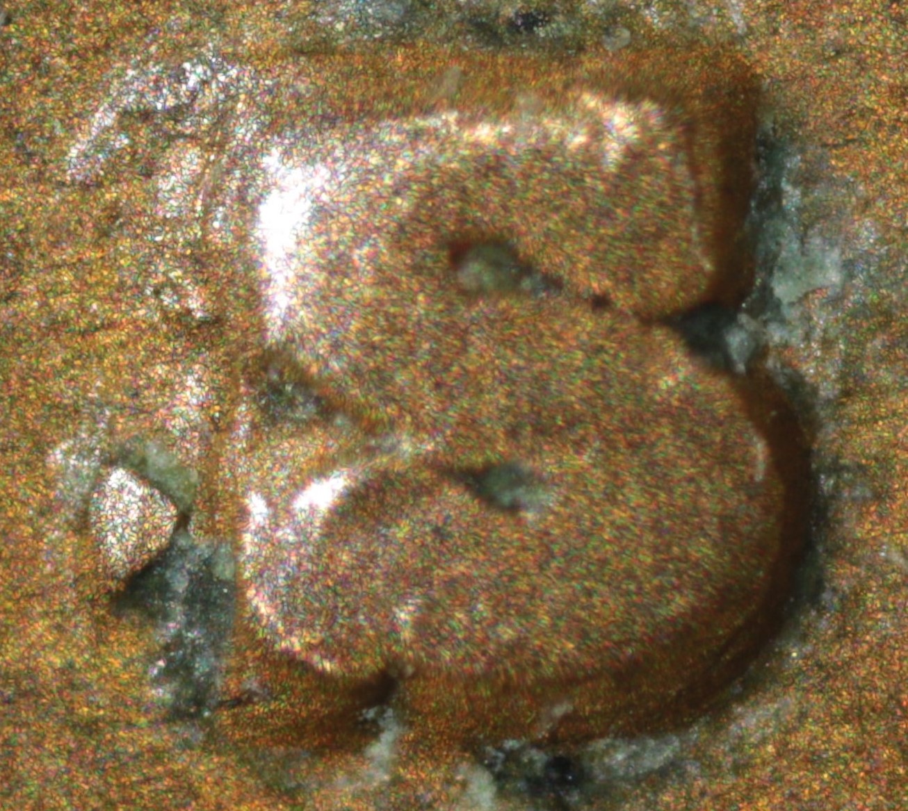 1938 SS LWC Macro Obv (3).jpg