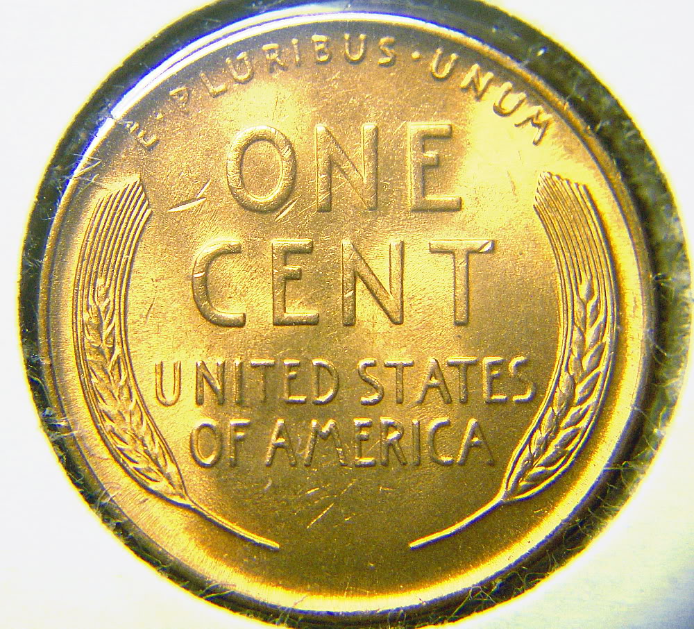 19391crev.jpg