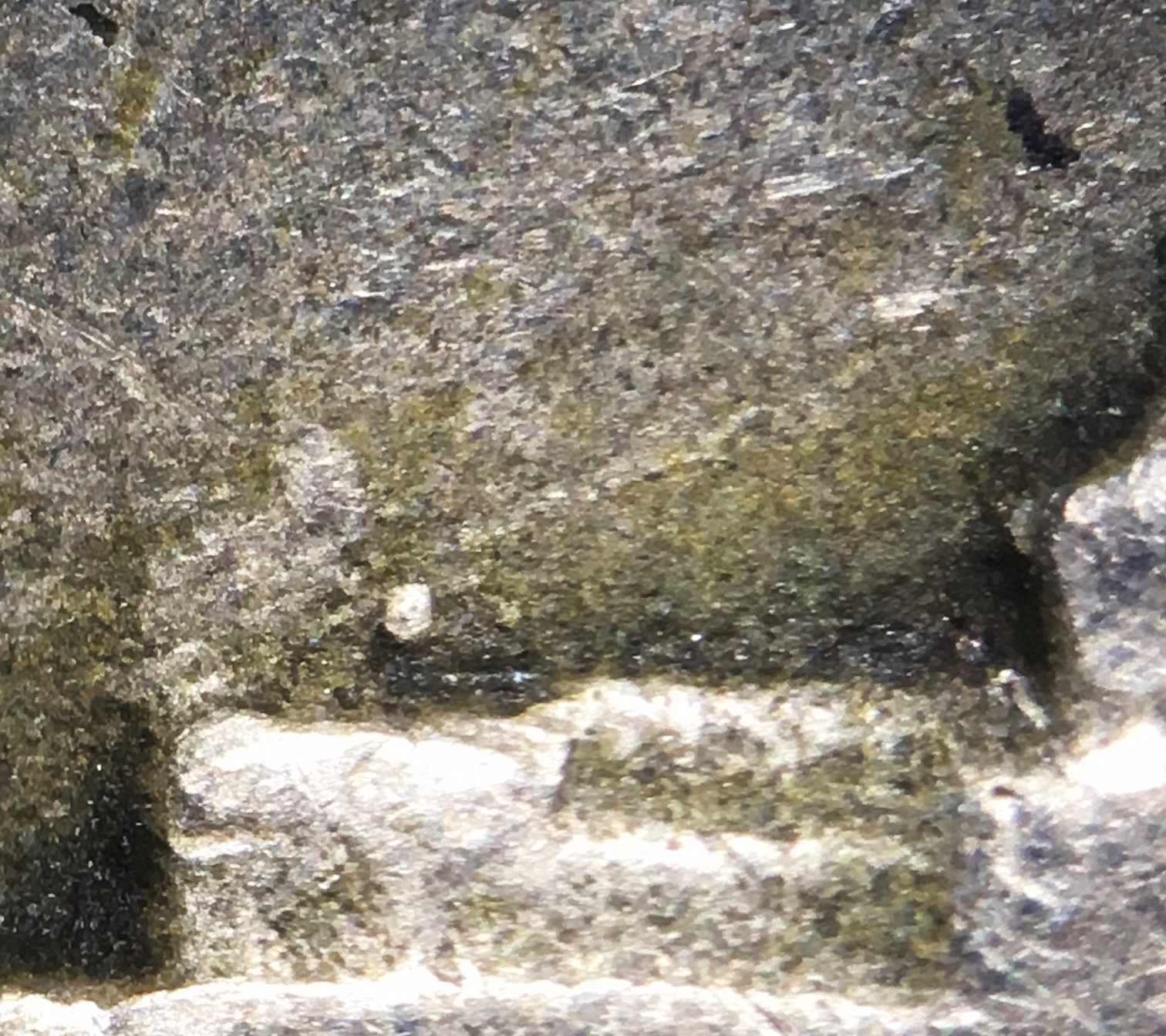 1939HenMarker.jpg