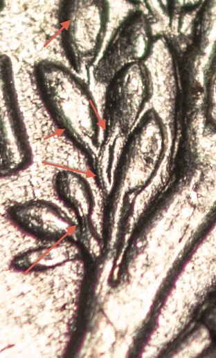 1940 Mercury Dime DDR - Branches 2.jpg