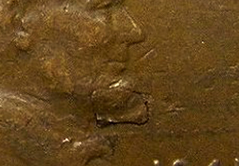 1941 Lincoln Wheat (CloseUp).jpg