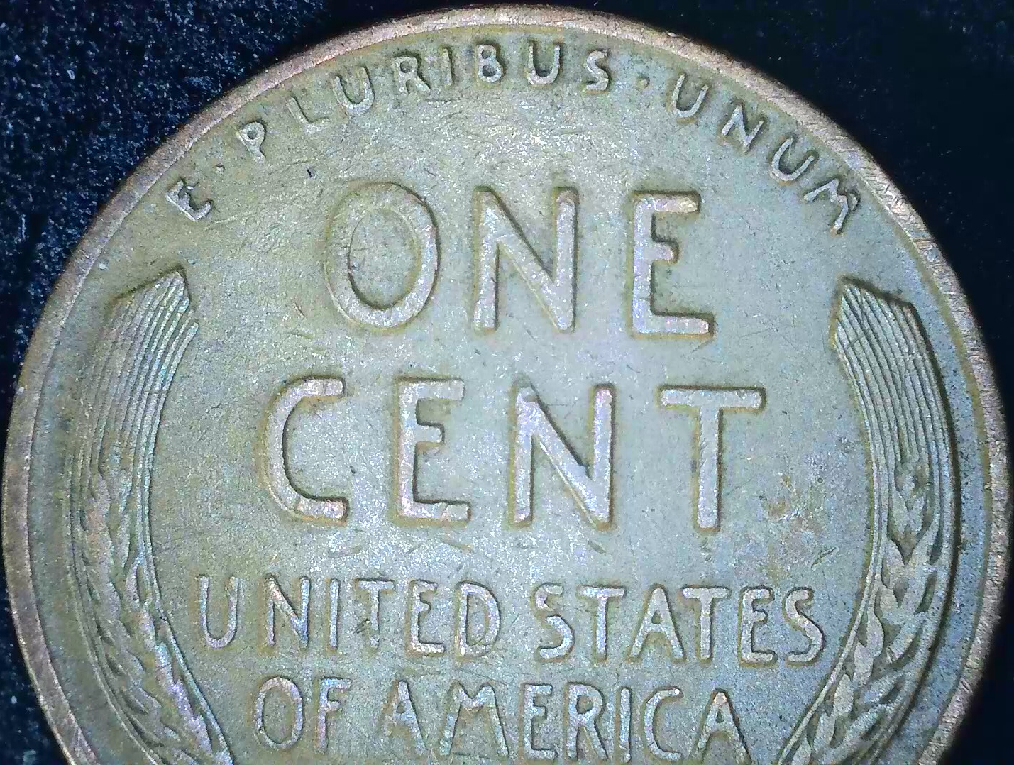 1941S_LWC_GFD_Reverse.jpg