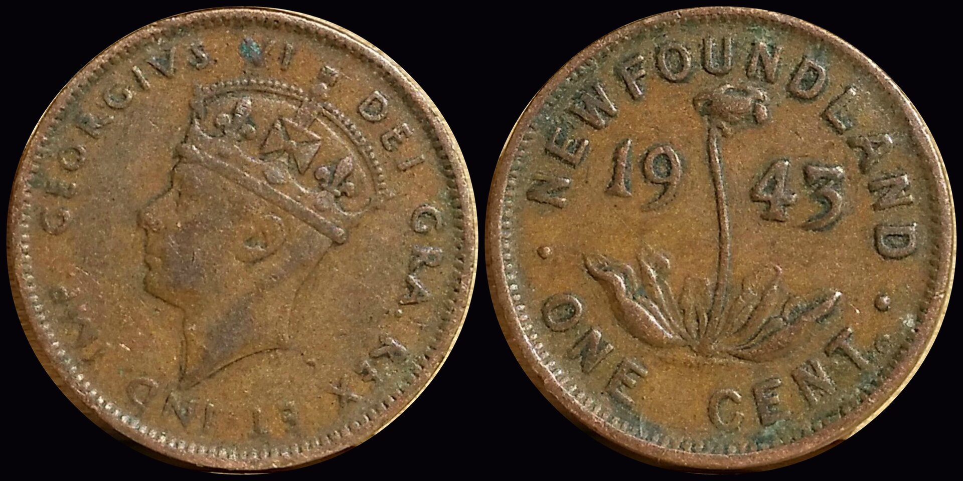 1943 New Foundland 1 Cent.jpg