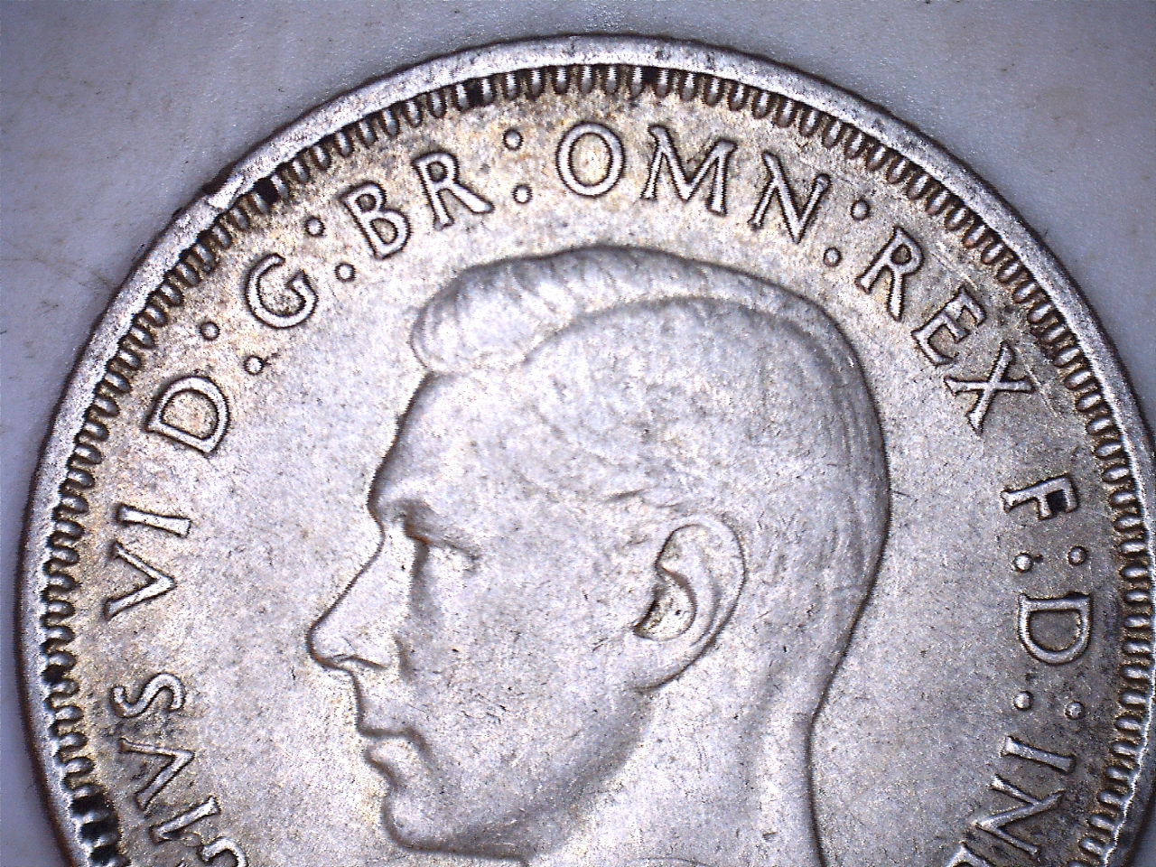 19431.jpg