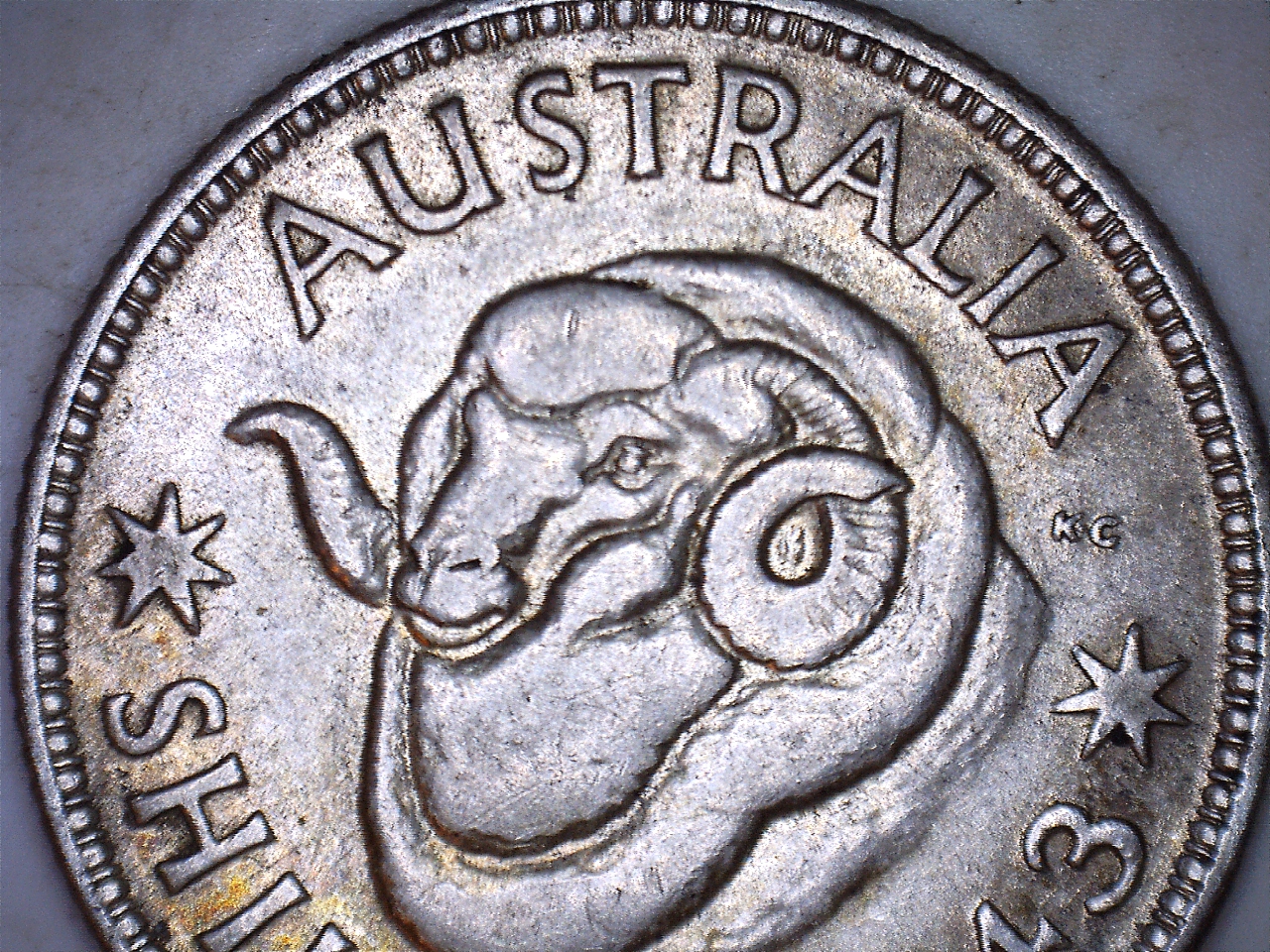 19433.jpg