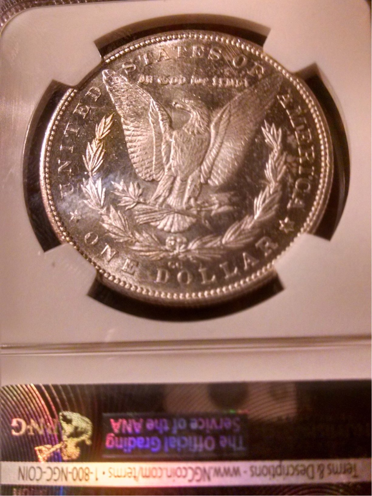 19433288-F0E1-4702-A748-AAF0339542D4.jpeg