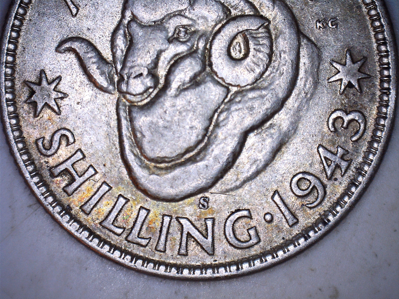 19434.jpg