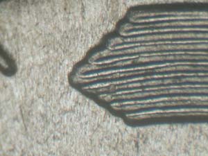 1943PDDR009b right tip.jpg