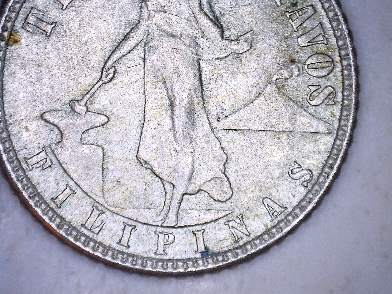 19445.jpg