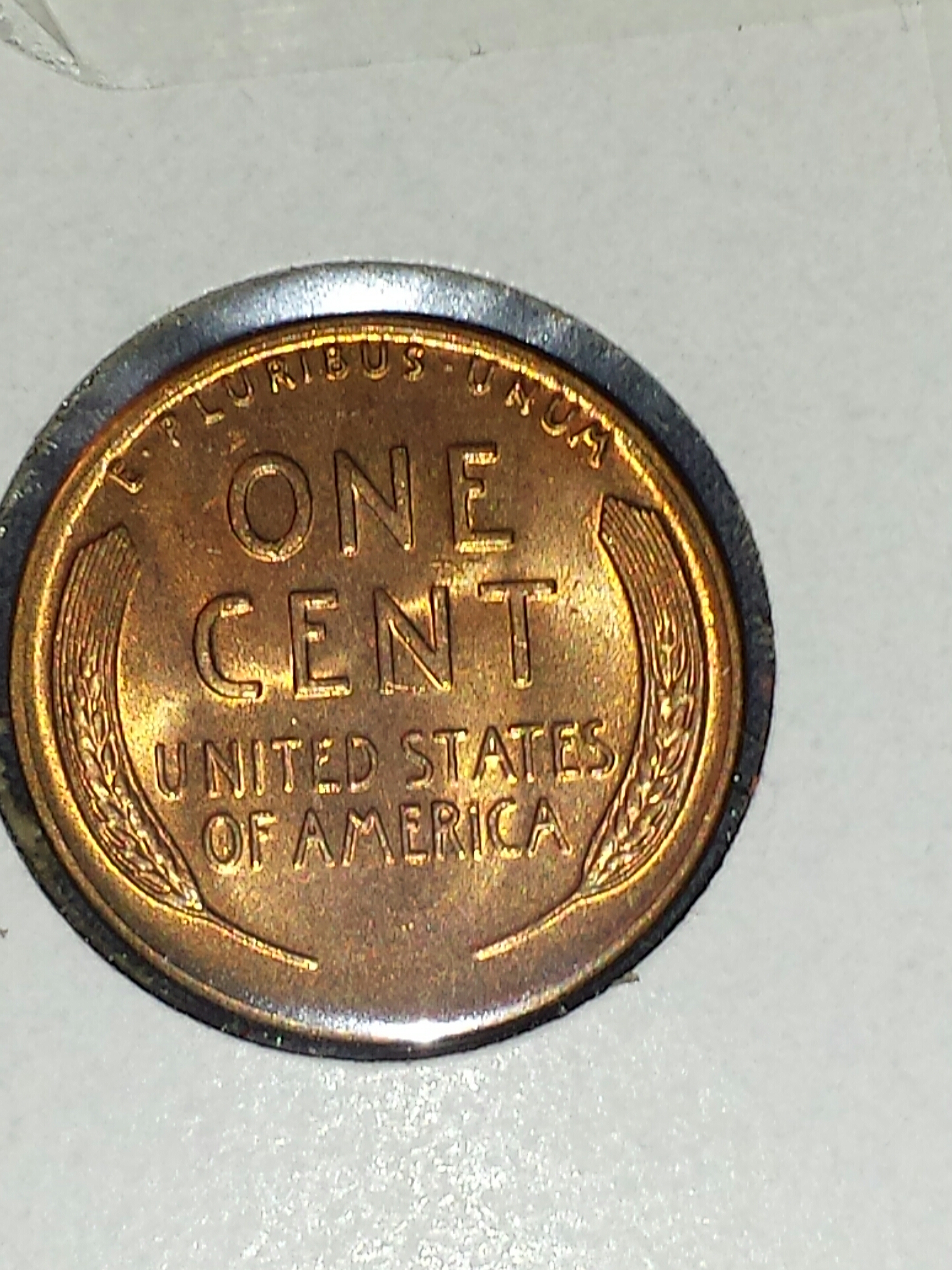 1946 rev.jpg