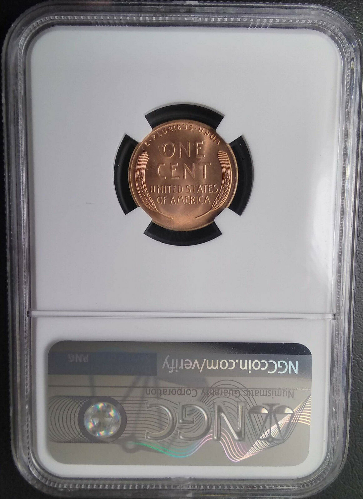 1948D MS66 RD NGC 4818915-069 Slab Reverse (frankee2004).jpg