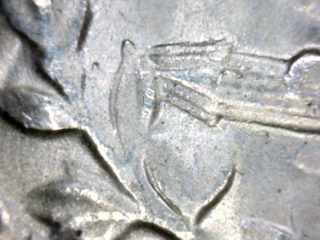 1950 S WQ 42417 2.jpg