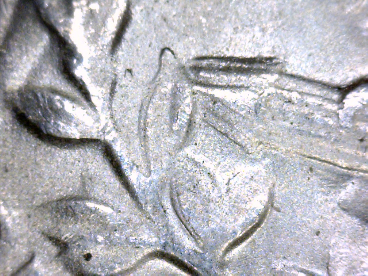 1950 S WQ 42417 3.jpg