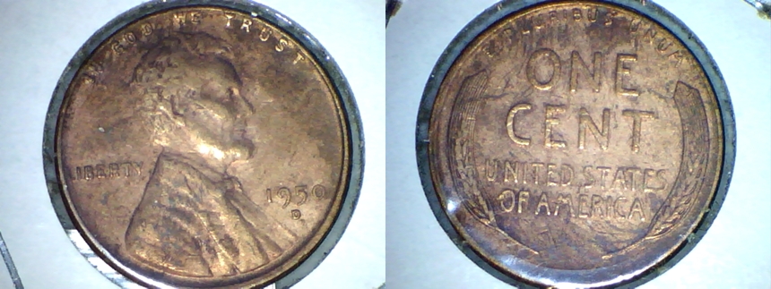 1950D-025-horz.jpg