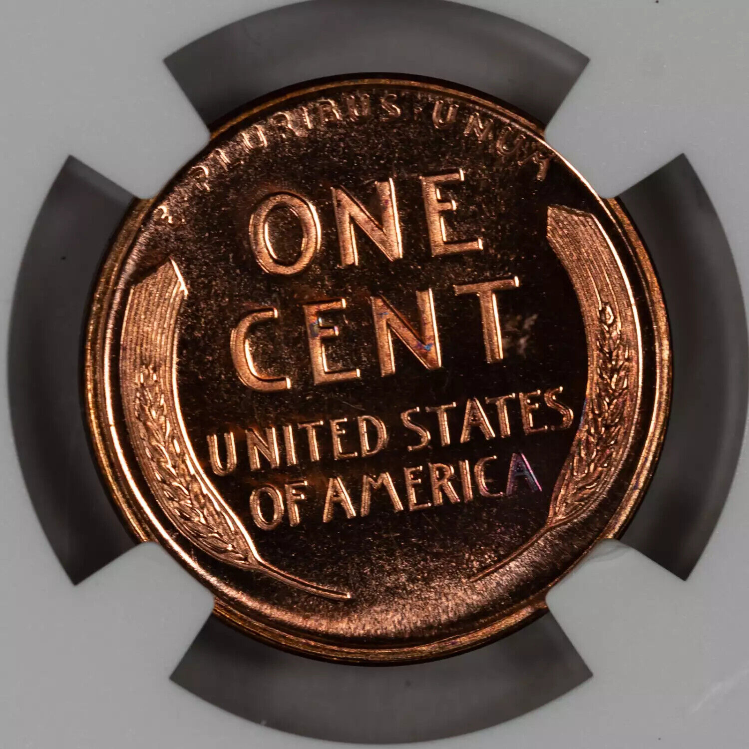 1950P 1C PF67 RD NGC 6303385-001 Slab Reverse Closeup (kearneycc).jpg
