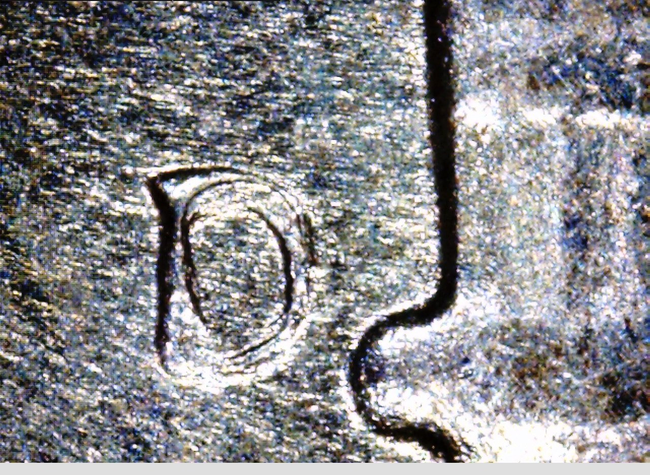 1951 D D Roosevelt RPM 001.jpg