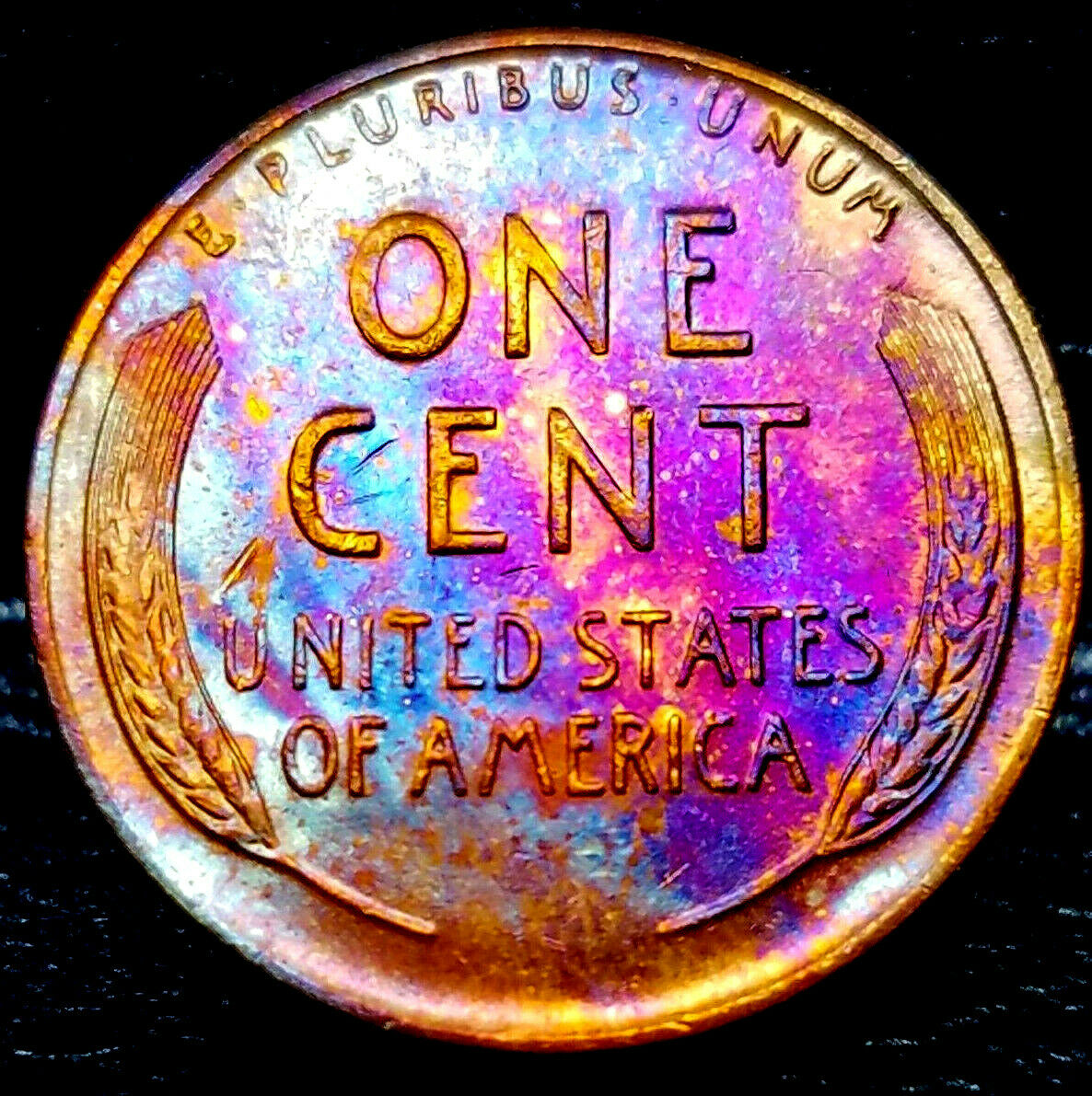 1951-D Lincoln  Cent  Toned  Very Choice++ Gem++   $2.76 + 000  283946159400  bdoubrava12012 (2).jpg