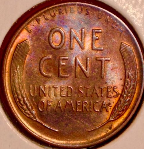 1951d2.jpg