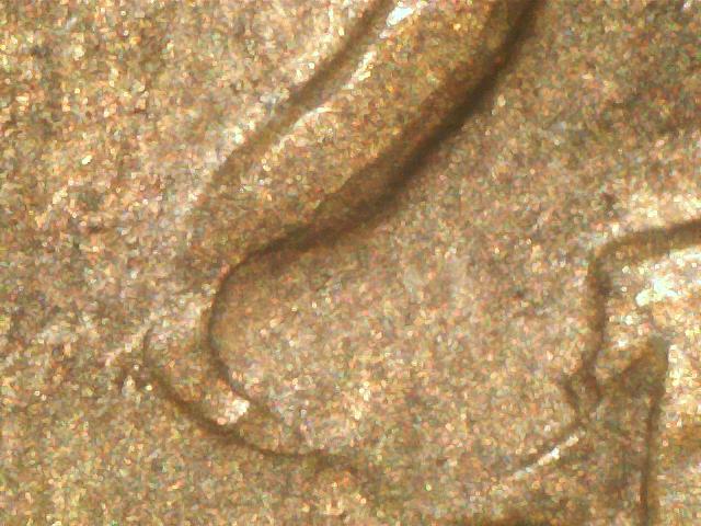 1952-D Lincoln Wheat (3).jpg