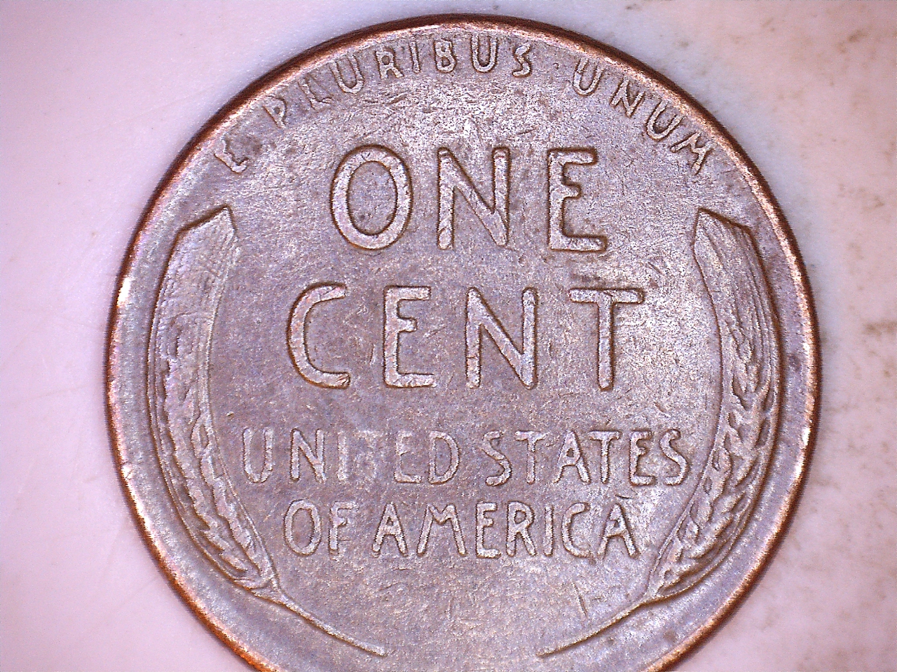 195203.jpg