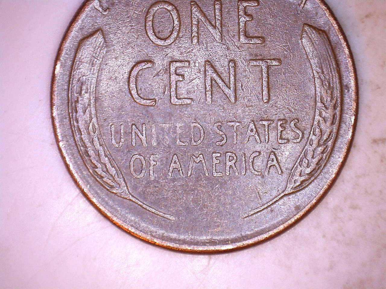 195204.jpg
