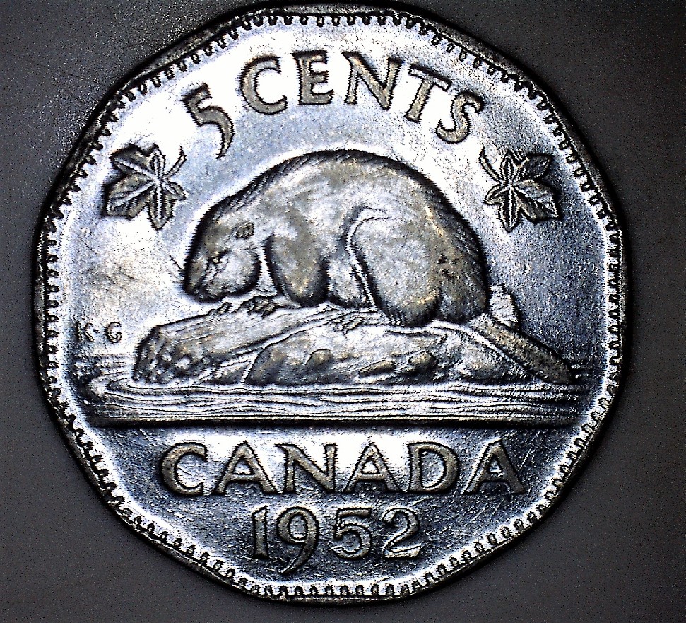 19522.jpg