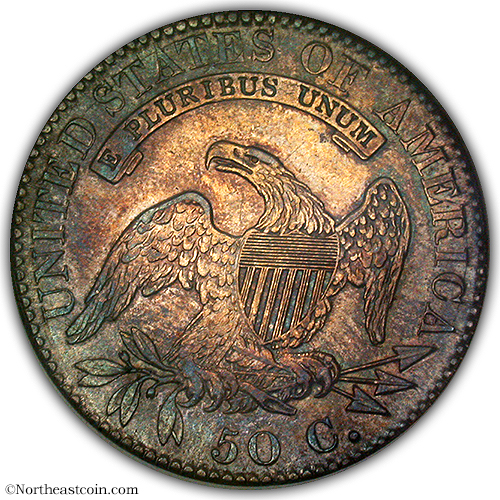 19524501r.jpg