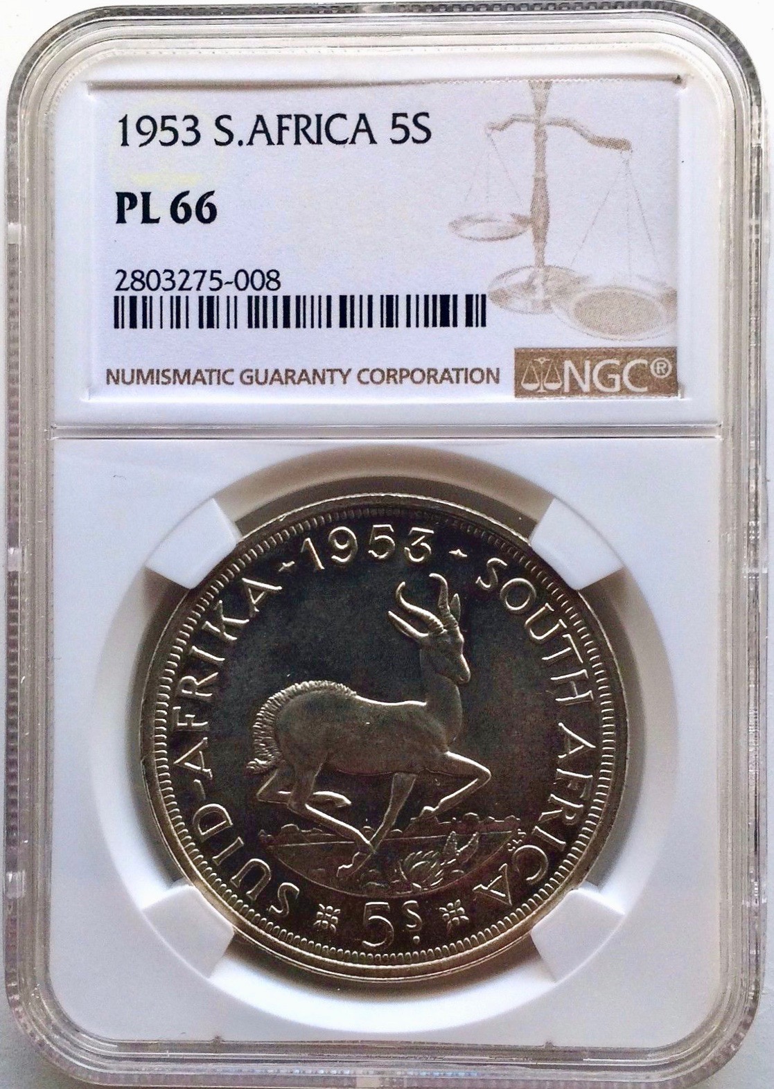 1953 sa.jpg