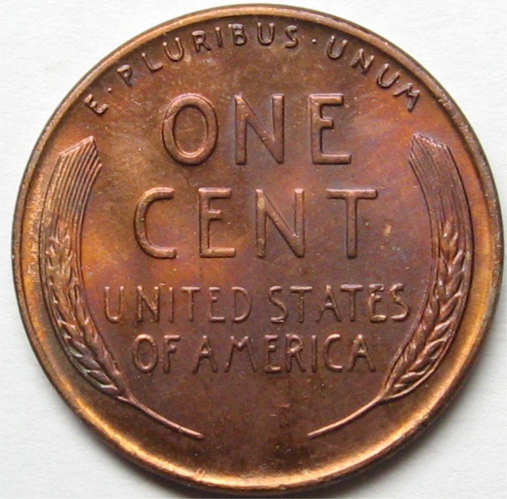 1953DlinolnTONERBgpREV_01NOV2022.jpg