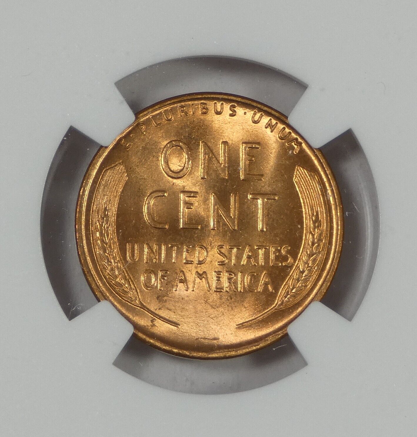 1953P 1C MS66 RD NGC 6486181-006 Slab Reverse Closeup (tomscollectibles).jpg