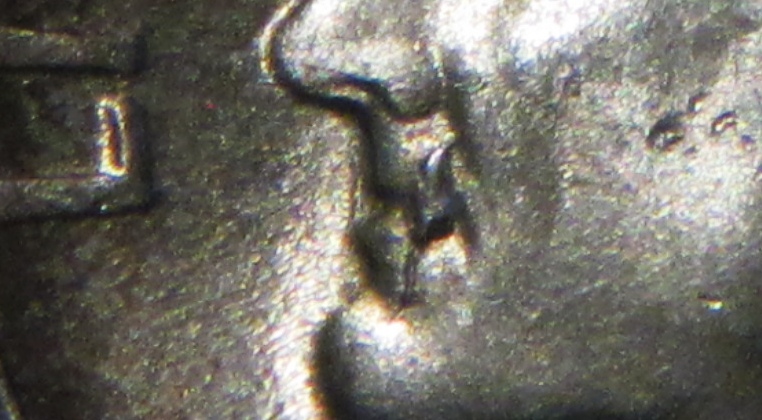1953RoosieBieBreakCloseUp.JPG