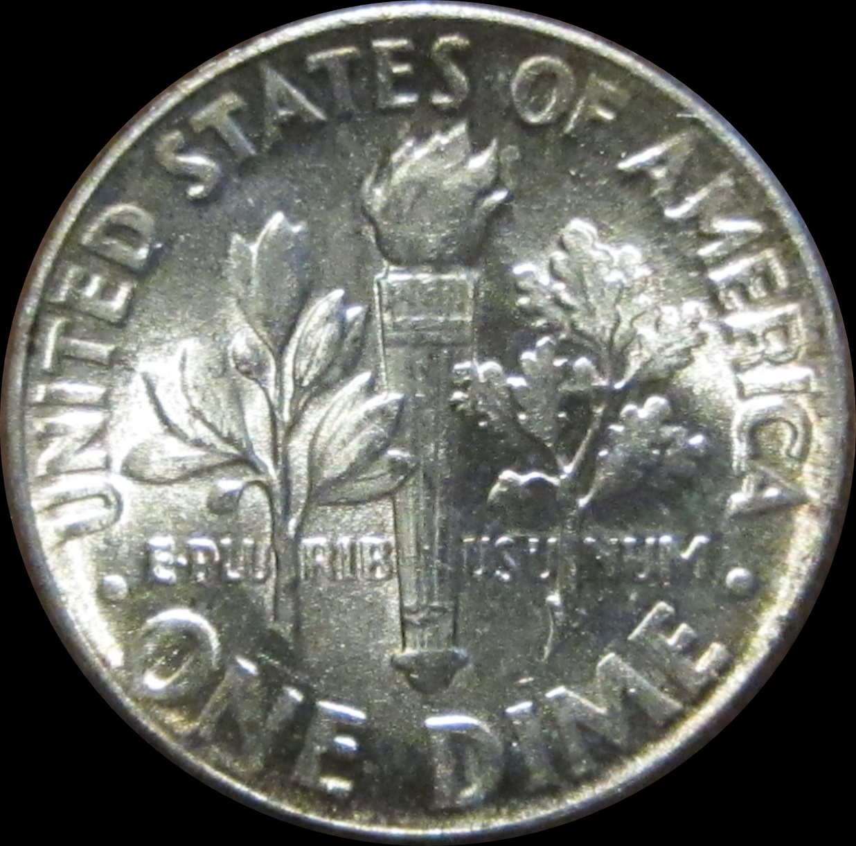 1953RoosieBieBreakReverse.JPG