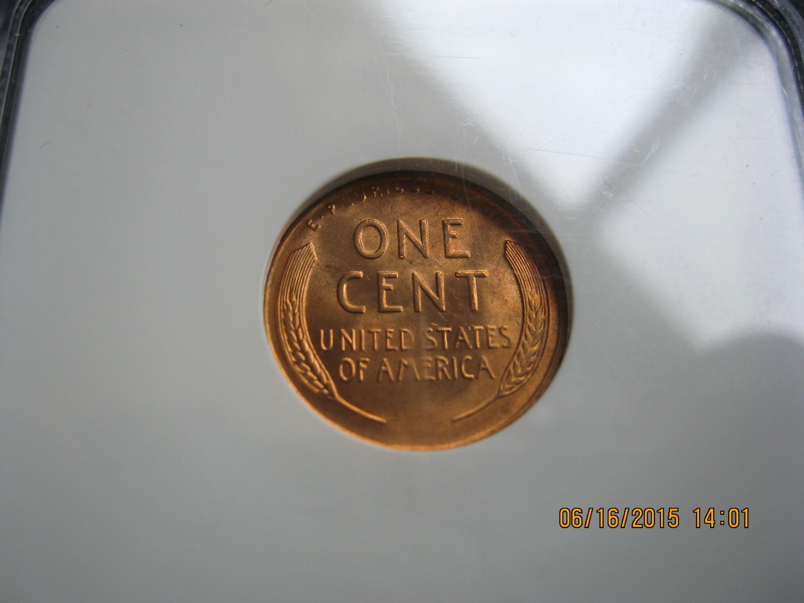 1954 D 1C MS67RD Reverse.jpg
