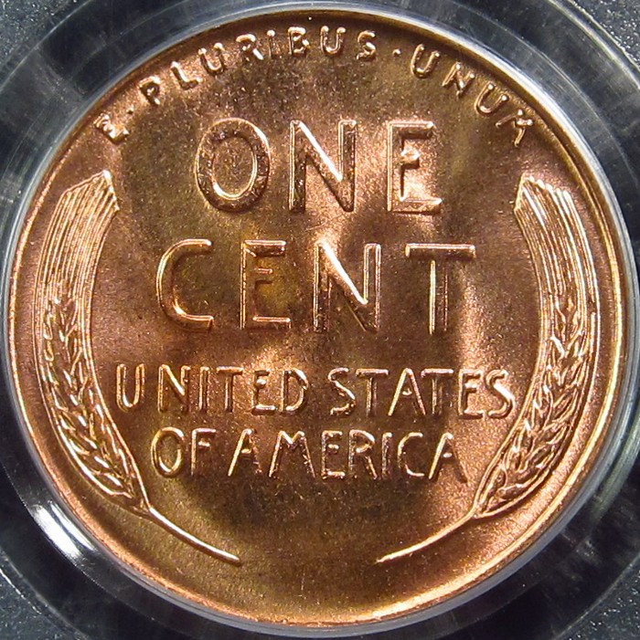 1954-D PCGS R.JPG