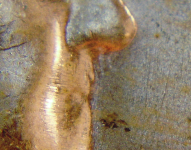 1954 Pcgs Buggy Bunny  Close up 5x.jpg