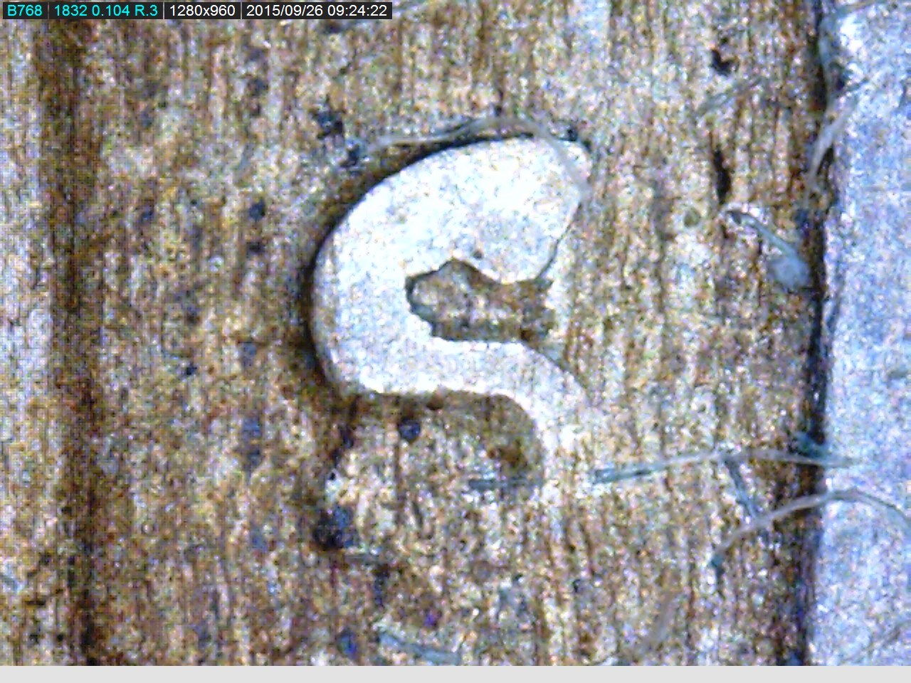1954 S 092615.jpg