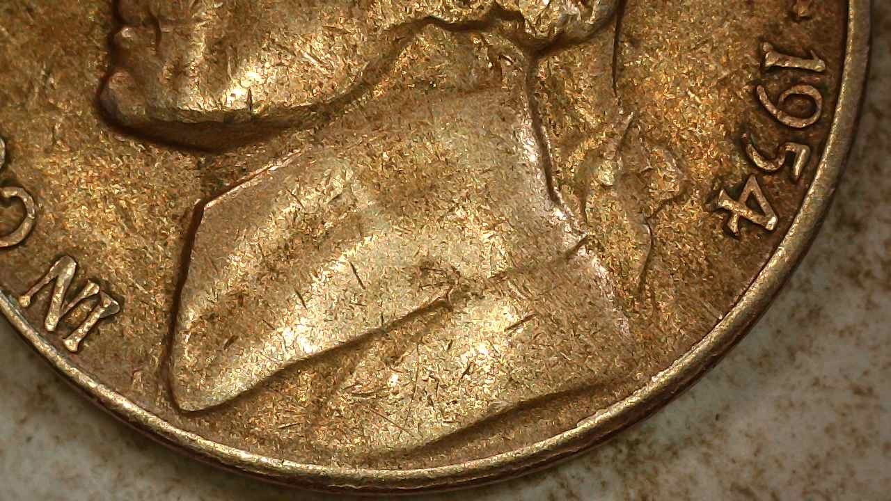 1954 S 5c Cud vs Chip.1a.jpg