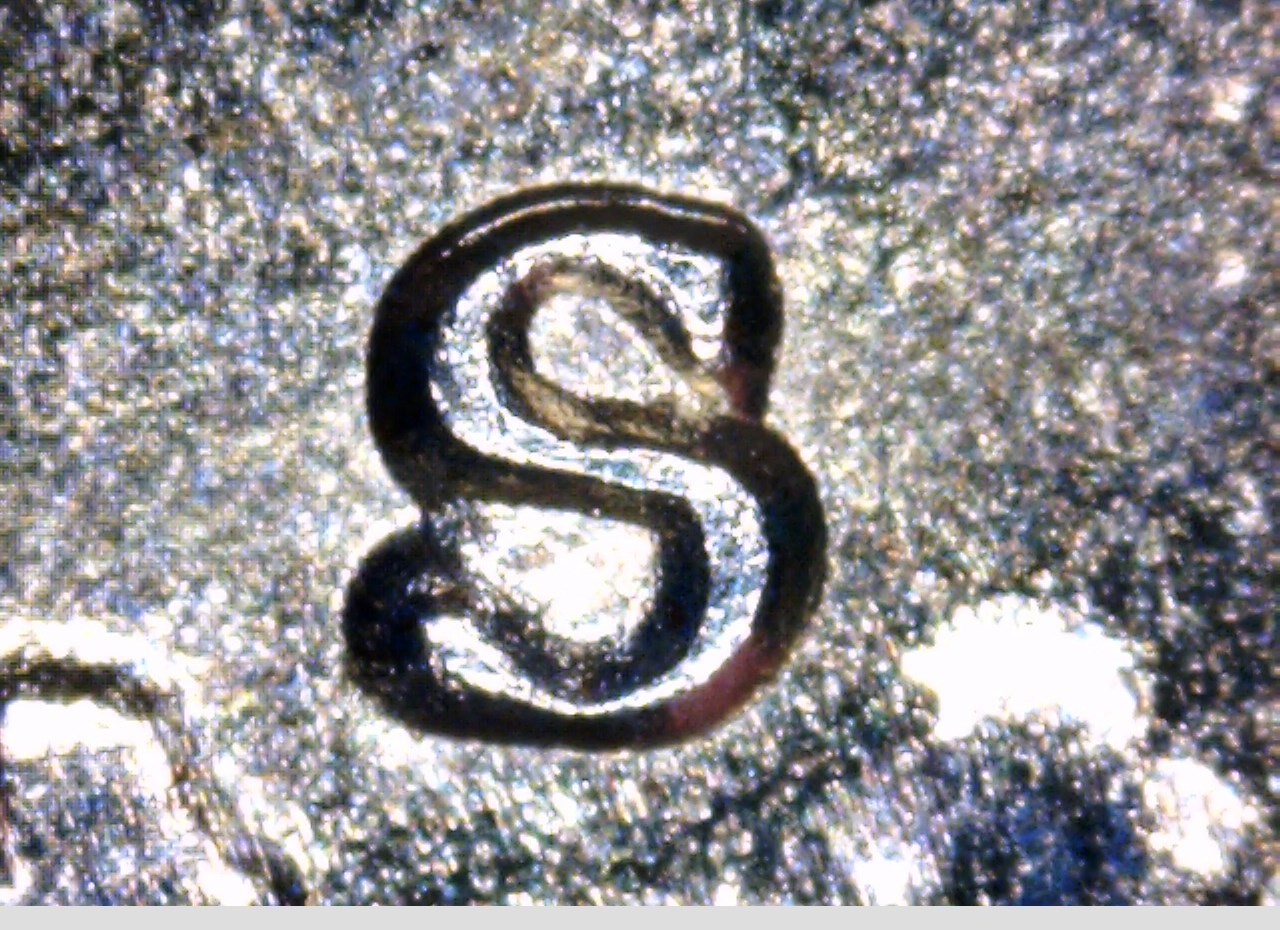 1954 S Franklin.jpg