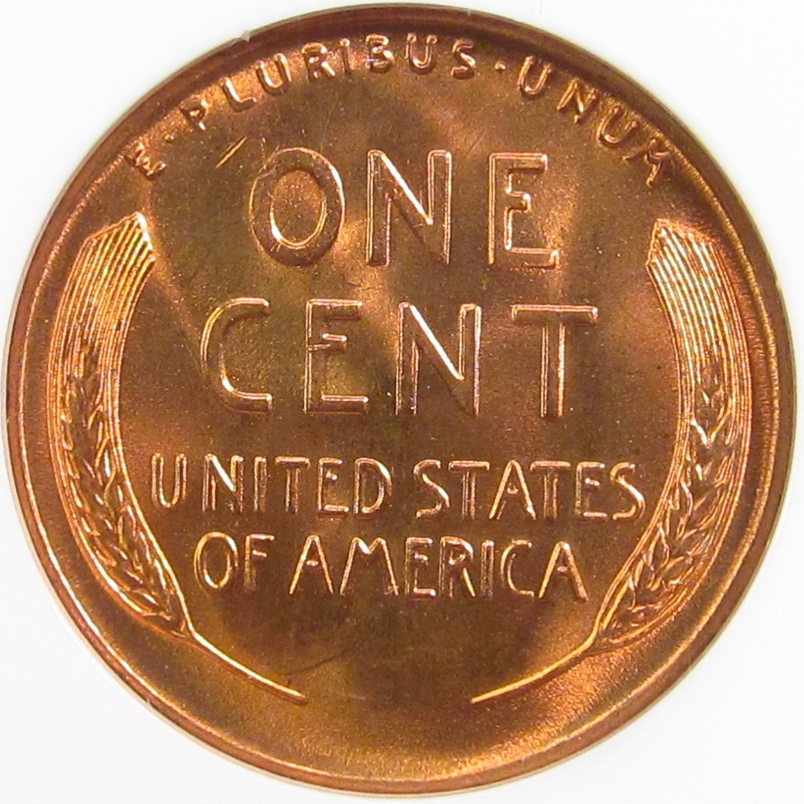 1954-S g NGC R.JPG