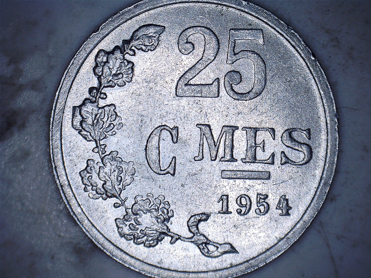 19542.jpg
