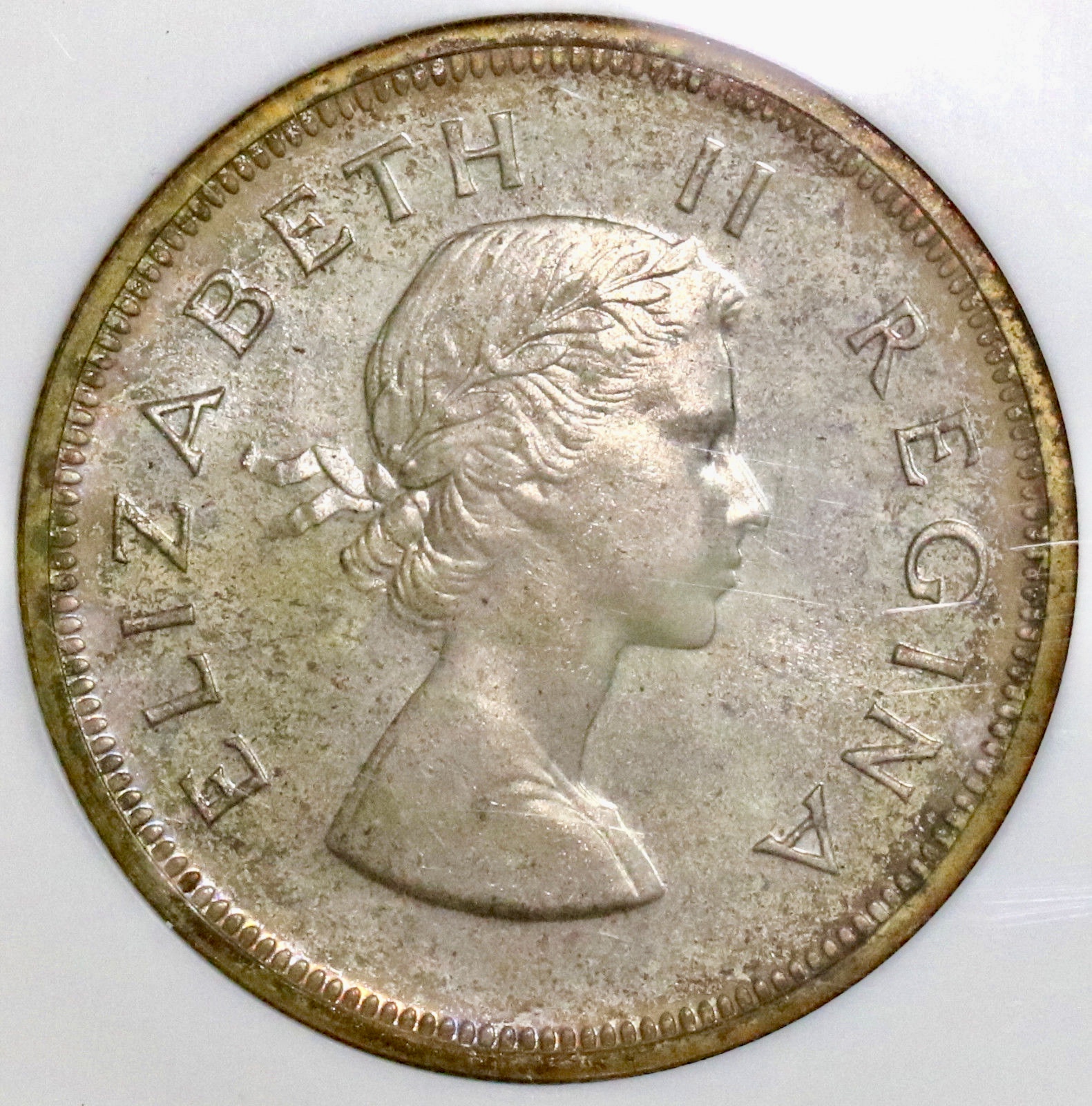 1954SAb.jpg