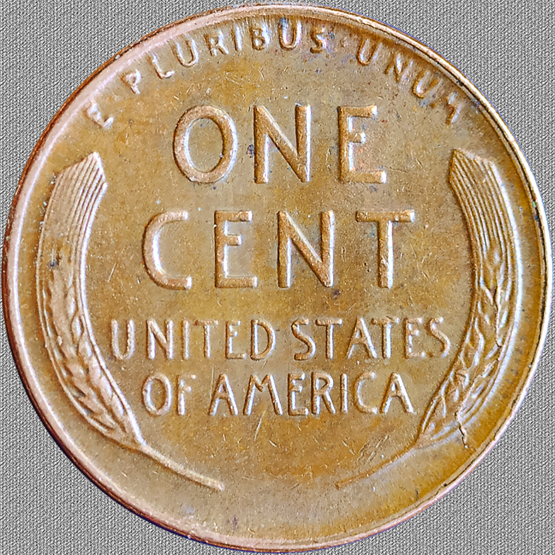 1954sfullrev.jpg