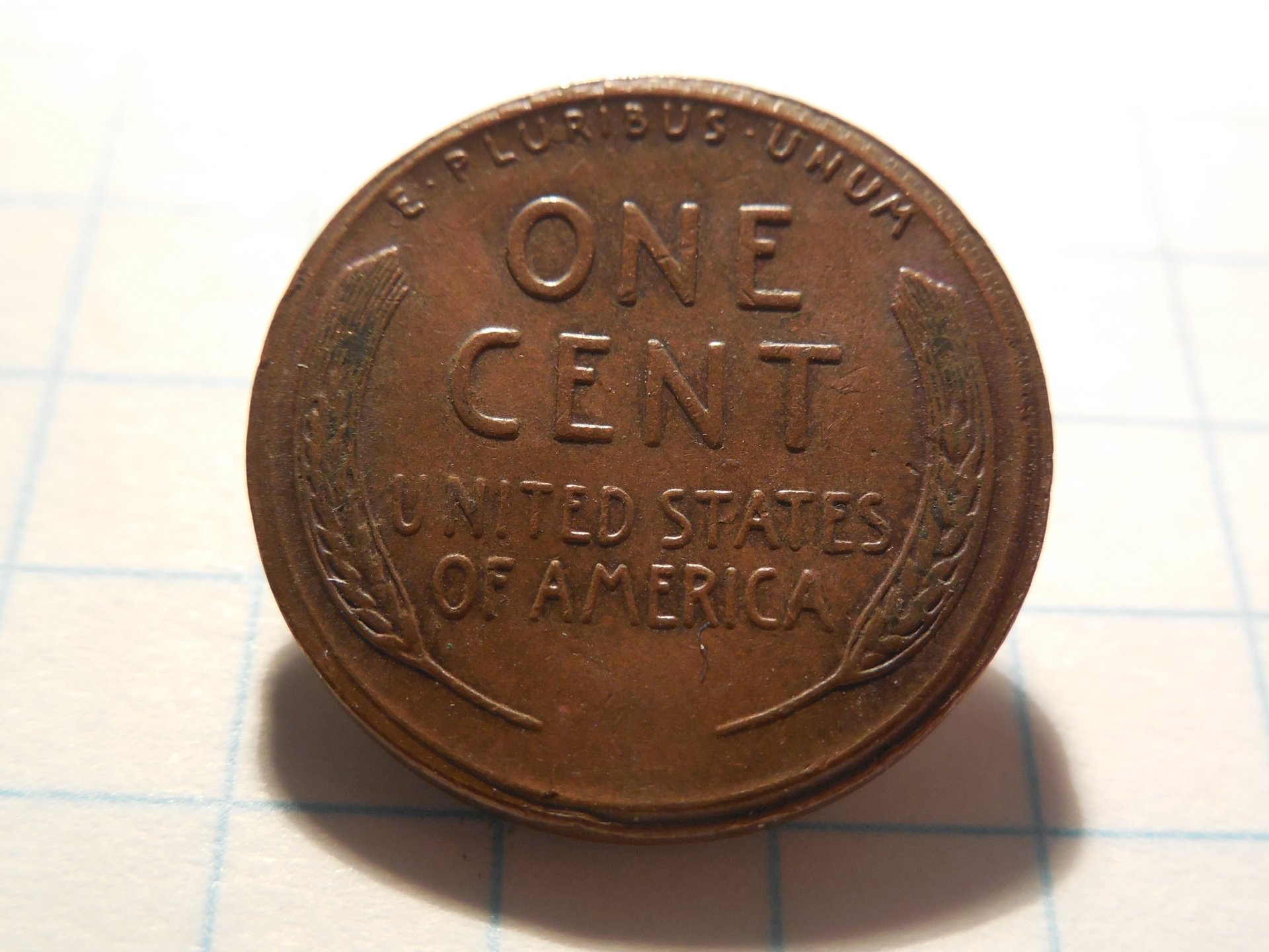 1955 007.JPG