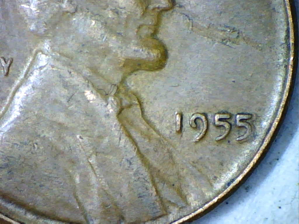1955-1.jpg